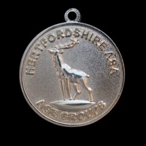 Hertfordshire ASA age groups (Amateur Swimming Association) - 38mm Gold Frosted Polished Custom Made Sports Medal