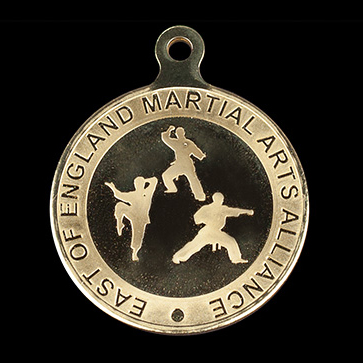 East England Martial Arts sports medal - 50mm Gold Minted Sports Medal - Medals UK